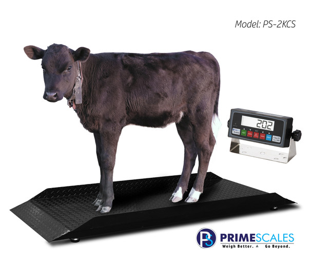 PS-4KCS Animal Scale / Large Livestock Scale for Cattle / Pig / Sheep etc.